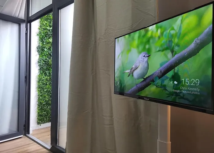 Charming Urban In فالنسيا