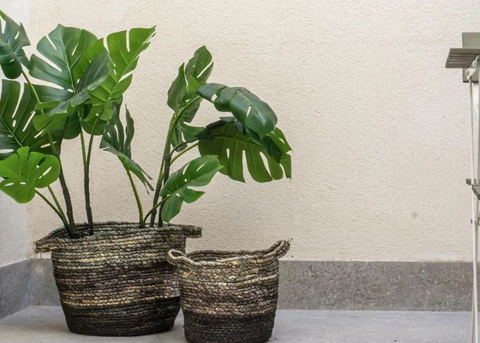 Osito Hub - Duque De Gaeta شقة فالنسيا