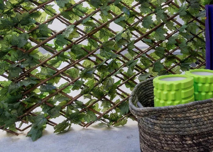 Osito Hub - Duque De Gaeta