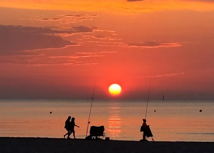 Boho Flats 아파트