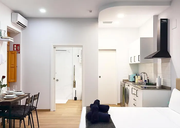 New - La Puerta De Olivo *