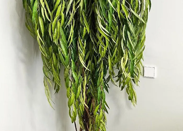 Vacansis Bajo Torrefiel Διαμέρισμα