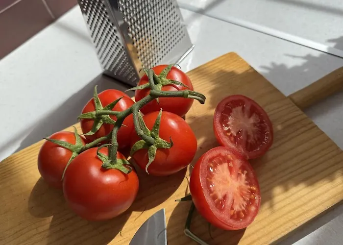 Singularstays El Grao V