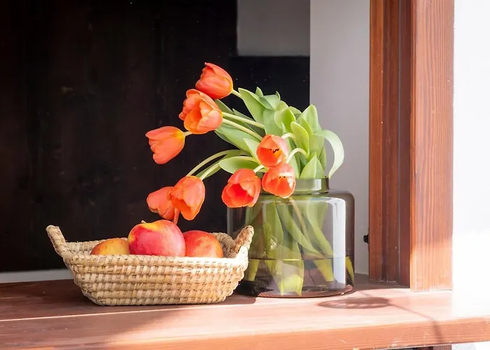 شقة Con Patio Playa Cabanyal فالنسيا