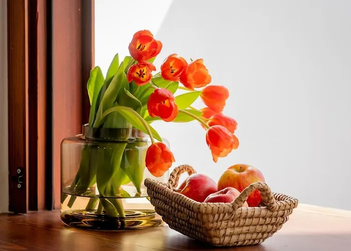 Con Patio Playa Cabanyal * فالنسيا