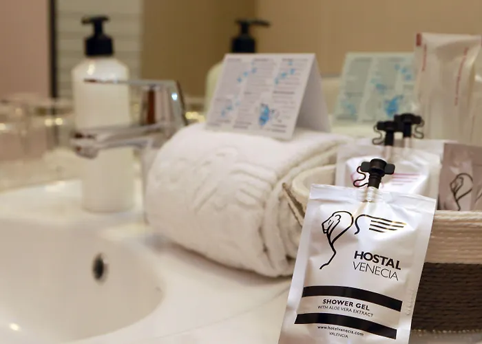 Venecia Plaza Centro ホテル 2*