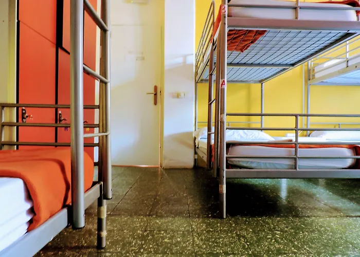 Feetup Backpackers Hostel *