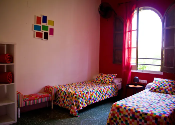 Hostel Feetup Backpackers