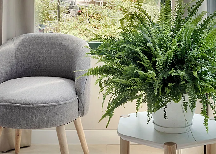 Hotel Opera House 3*