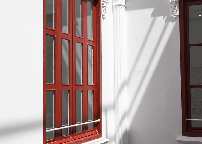 Casual Socarrat - Adults Only