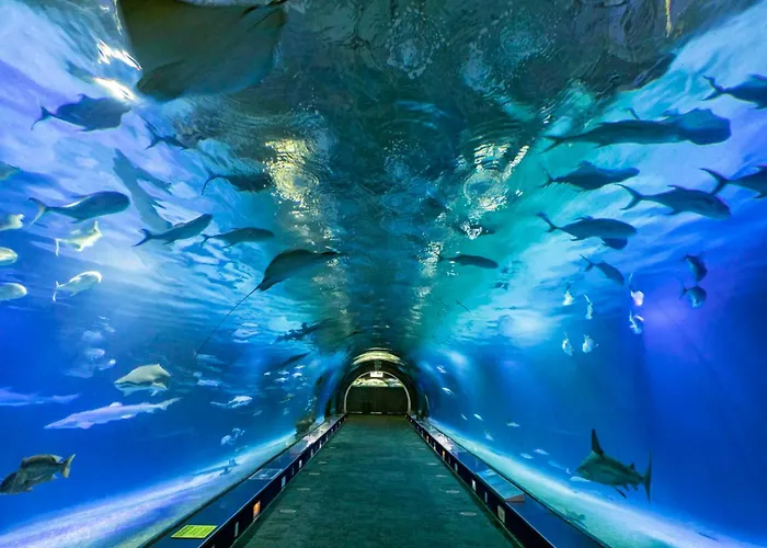 Duplex-port-valencia 펜션 발렌시아