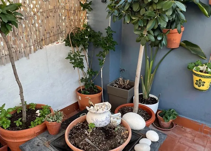 Sun Balcony Βαλένθια