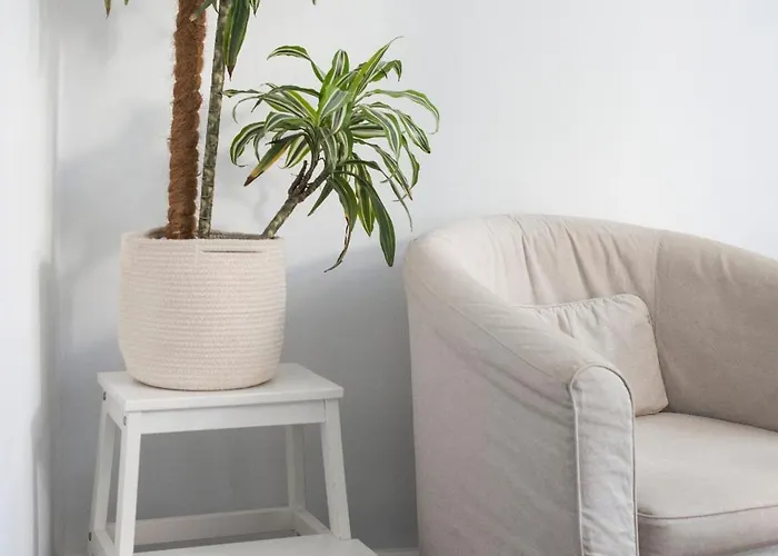 Abcyou Bed & Breakfast Valencia