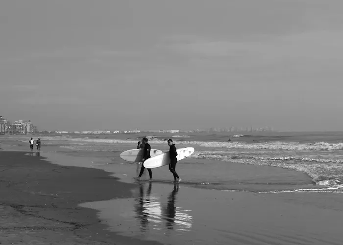 Apartman Work Study Valencia