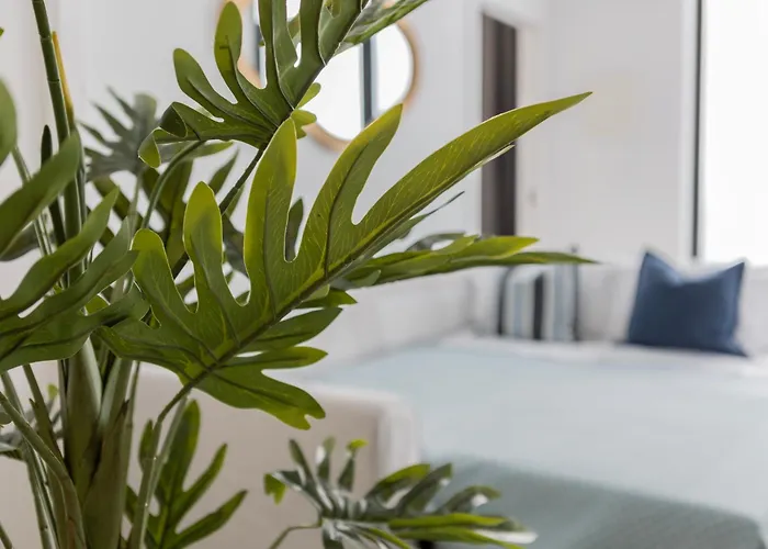 Modern & Stylish Close To The