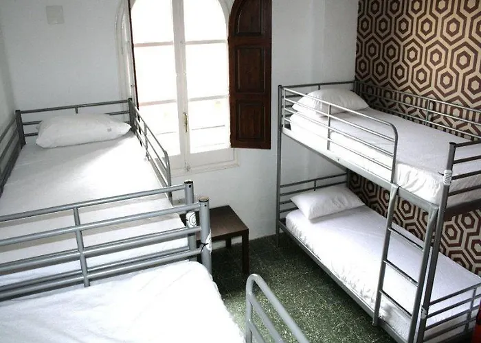 بيت شباب Feetup Backpackers