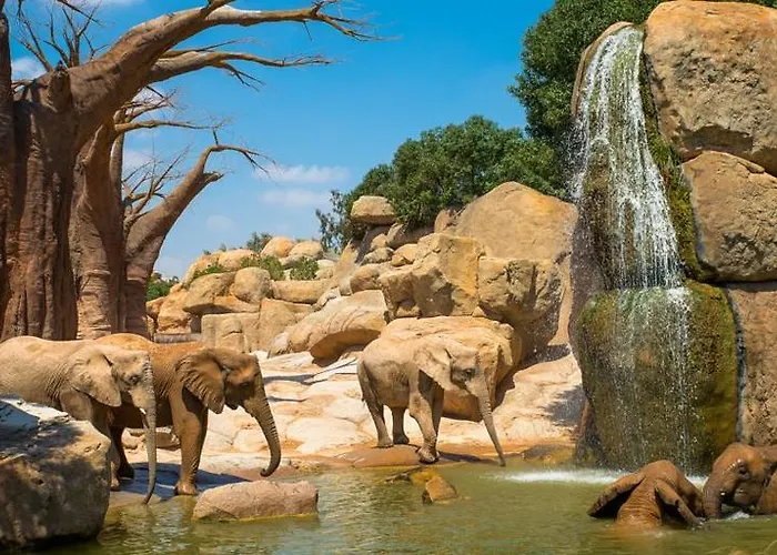 Πανσιόν Cama Del Mar Βαλένθια