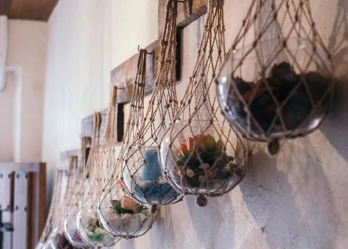 Buho House * 발렌시아