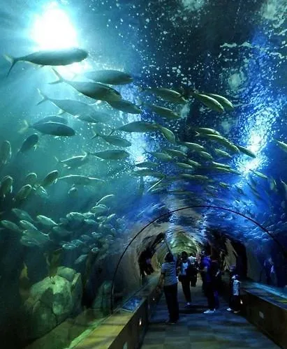 Bed Of The Sea 2* 발렌시아