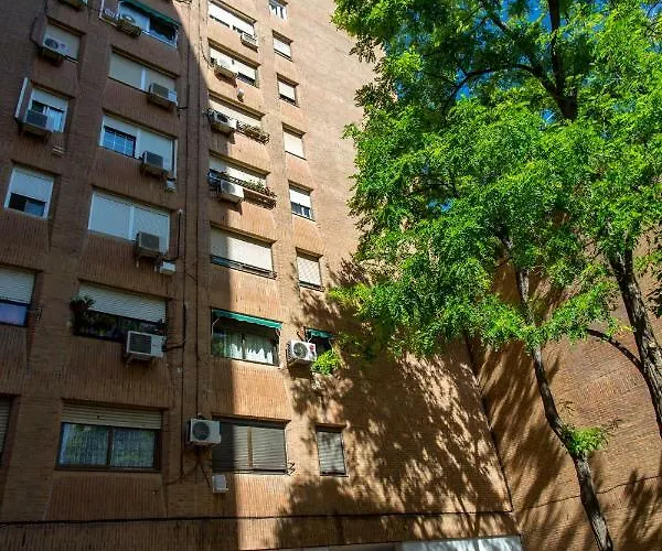 Versus Near Of Arts *