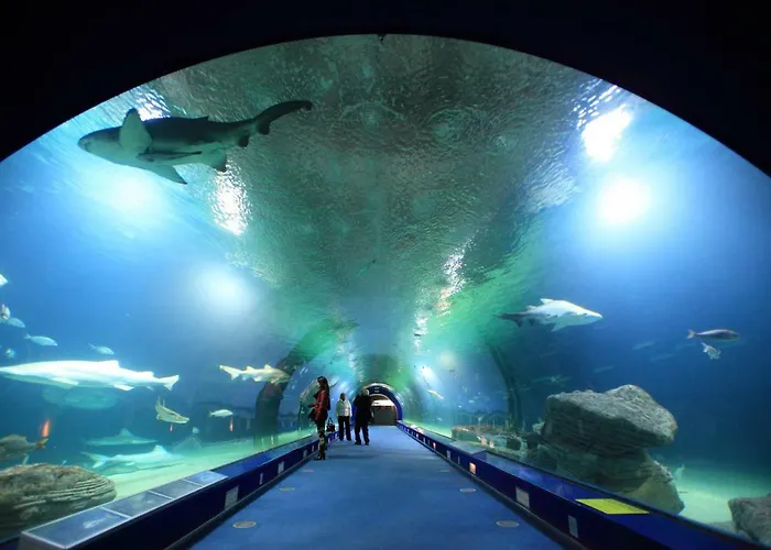 Arrendamiento De Temporada En Ruzafa Διαμέρισμα *