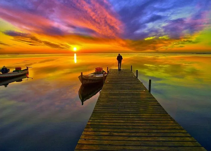 Casa Isa 발렌시아