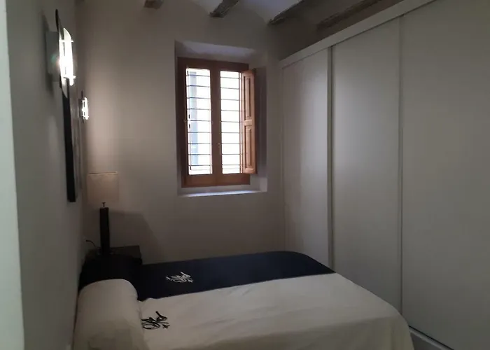 Amplio En Centro Historico Valencia