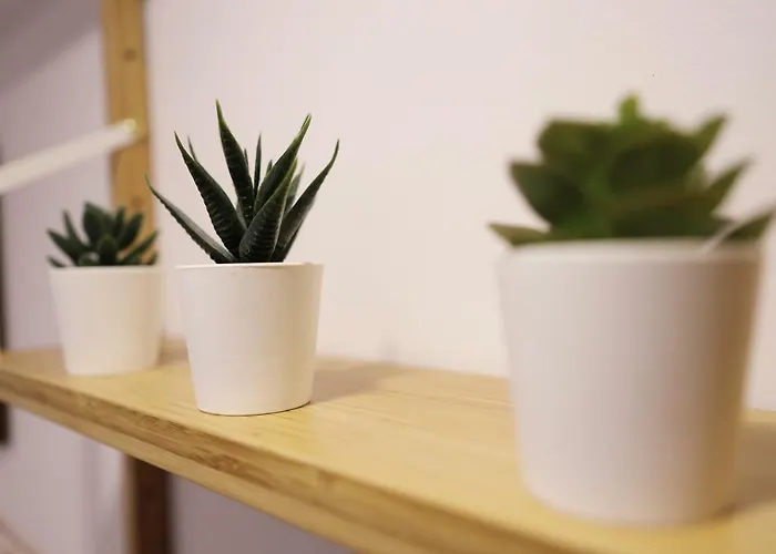 Διαμέρισμα Dormavalencia *