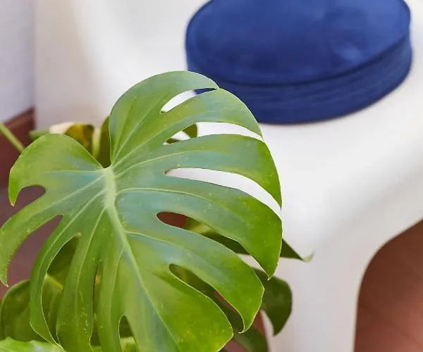 Bubusuites Bed and breakfast